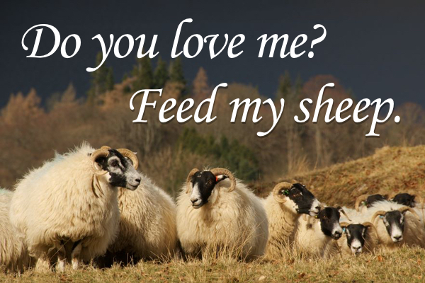 jesus and peter feed my sheep