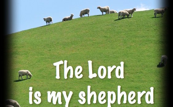 October 15, 2017, Sermon on Psalm 23