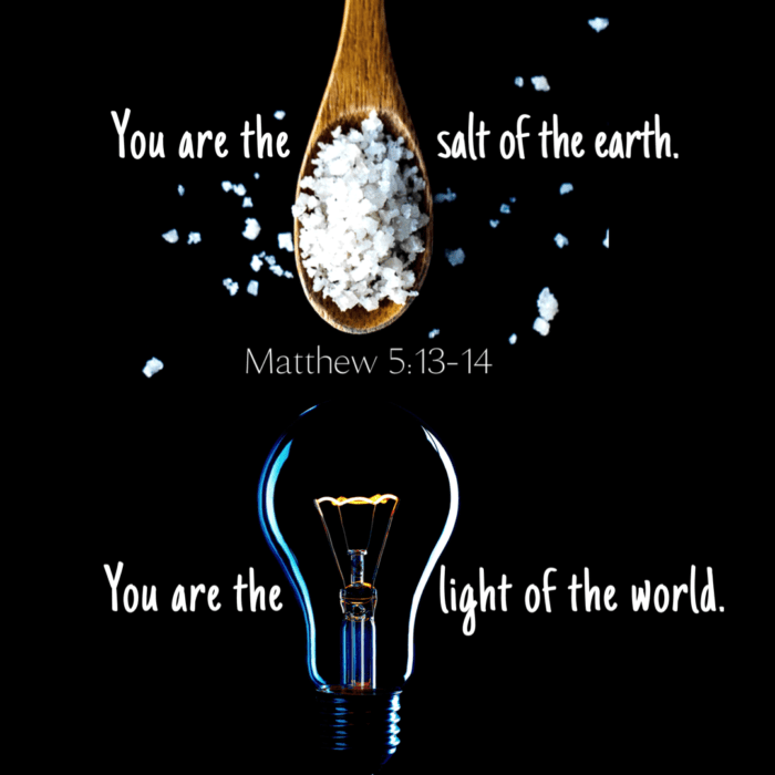 February 9, 2020 Sermon Salt of the Earth Pastor Daniel Flucke