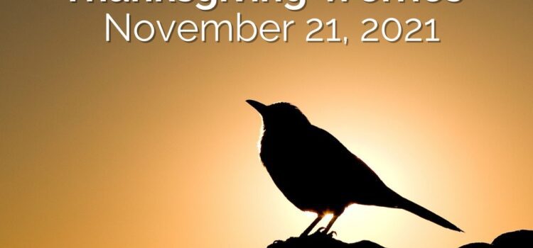 Sermon for November 21, 2021 – Thanksgiving Worries