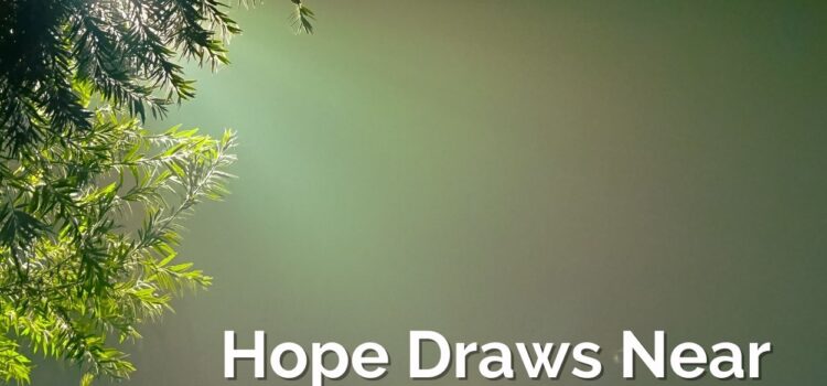 Advent 1 Sermon for November 28, 2021: Hope Draws Near