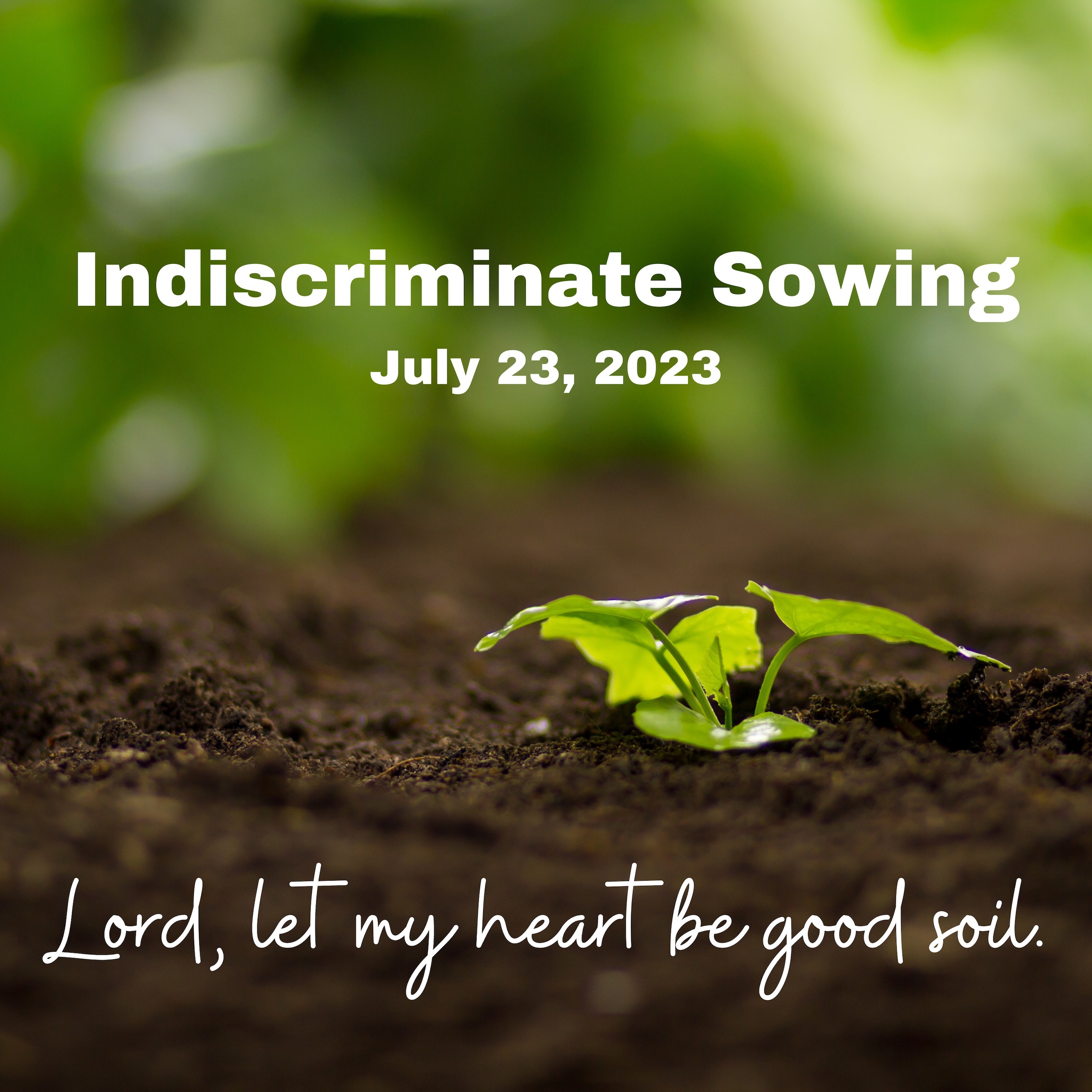 Indiscriminate Sowing | July 23, 2024 Sermon