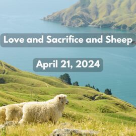 Love and Sacrifice and Sheep | April 21, 2024