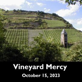 Vineyard Mercy | October 15, 2024 Sermon