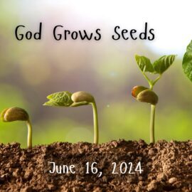 God Grows Seeds | June 16, 2024