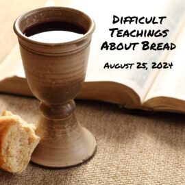 Difficult Teachings About Bread | August 25, 2024