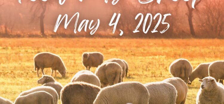Feed My Sheep Sermon | May 4, 2025